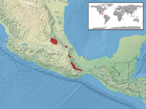 Scincella gemmingeri distribution.png