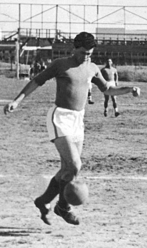 Shmuel ginzburg