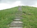 Steps to Mound A, Poverty Point IMG 7429