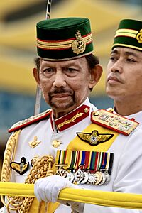 Sultan Hassanal Bolkiah - 53857993945.jpg