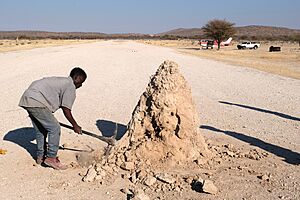 Termite mound on runway at Khorixas (2018)