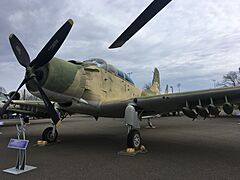 The A-1E "Skyraider" on display at the Aerospace Museum of California