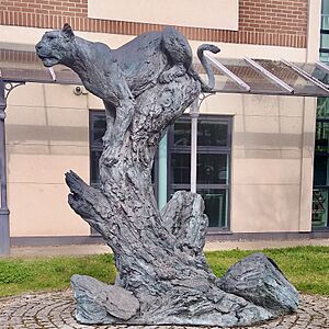 The Leopard (1983) Jonathan Kenworth, Station Approach, Leatherhead, Surrey 03