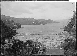 The boom, Mercury Bay, Coromandel Peninsula (21576320372)