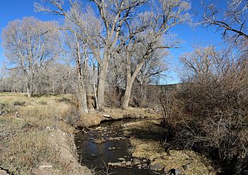 Trinchera Creek (Costilla County, Colorado).JPG