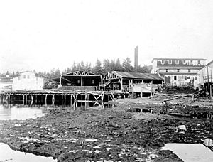 Tyee Company whaling station, Tyee, Alaska, 1910 (COBB 87)