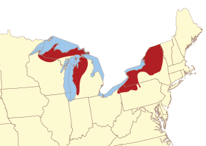 USA-Lake-Effect-Snow-Areas