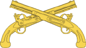 USAMPC-Branch-Insignia