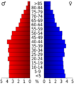 USA Bedford County, Tennessee.csv age pyramid