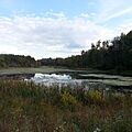 Upper Deckers Creek WMA-square