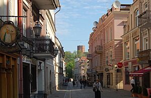 Vilnius Pilies street