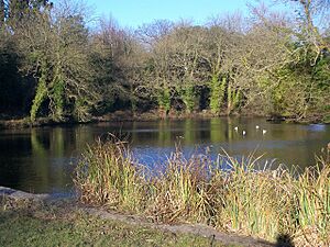 Vinters Valley Nature Reserve Lake - geograph.org.uk - 1102036