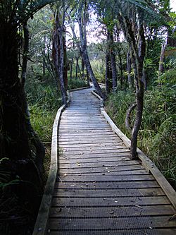 Waikato River Trails02