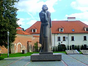 Wilno, pomnika Adama Mickiewicza - DSCF5977