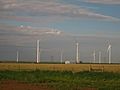 Windmills south of Dumas, TX IMG 0570