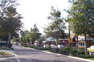 Zephyrhills Downtown Historic District