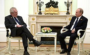 Встреча Владимира Путина с Президентом Чехии Милошем Земаном 5