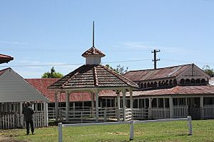 1961 - Glen Innes Showground - Sheep Pavilion and Rotunda (5062627b6)