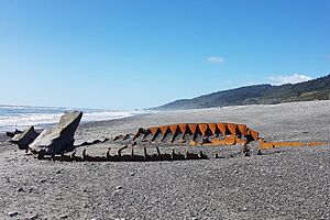 Abel Tasman shipwreck