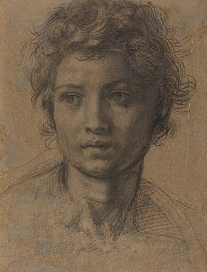 Andrea del Sarto, Head of Saint John the Baptist, c. 1523, NGA 73856
