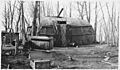 Bark house (summer home), Ponemah Point - NARA - 285713