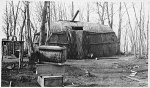 Bark house (summer home), Ponemah Point - NARA - 285713