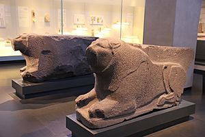 Basalt Lion, Holy of Holies, Orthostat Temple, Hazor, 15th-13th C. BC (43217868001)