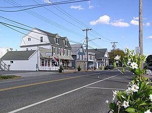 Businesses in the Bay Head Historic District