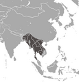 Bengal Slow Loris area