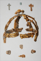 Benty Grange helmet - Llewellynn Jewitt watercolour