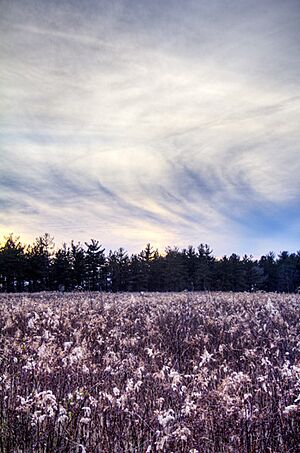 Blacklick Woods Winter