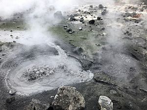 Boiling Mud Pot on Bogoslof Island by Nora Rojek USFWS