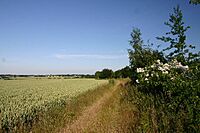 Bridleway to Stanningfield - geograph.org.uk - 195794