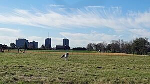 Central Experimental Farm