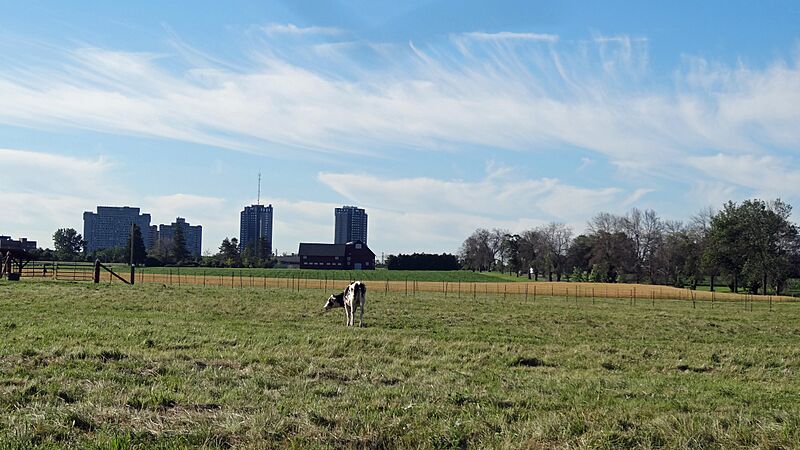 Central Experimental Farm