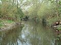 Colne Brook - geograph.org.uk - 156493