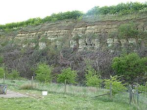 Cranford St John SSSI 2.jpg