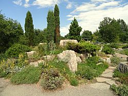Denver Botanic Gardens - DSC01024