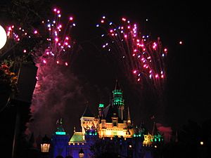 Disneylandfireworks