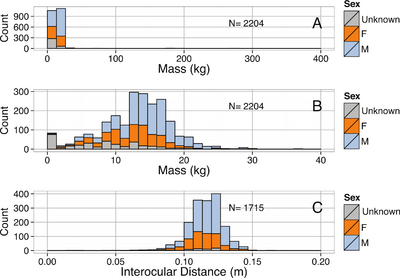 Distribution of mass and interocular distance in Enteroctopus dofleini