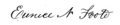 Eunice Foote's signature