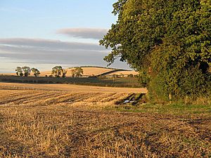 Evidence of crop rotation - geograph.org.uk - 575041