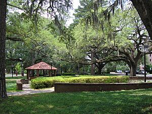 FSU greenspace 16June2007