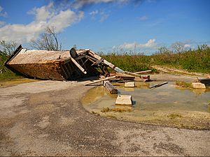 Fallen remains of Sugar Loaf Florida bat tower.