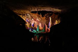 Forbidden Caverns 13