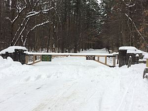 Gate (Winter)