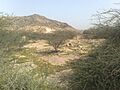 Grave Yard of Jang Hunain Near Masjid Jaranan, Makkah Mukarma - panoramio