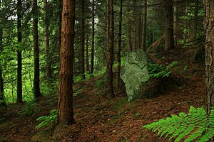 Hardcastle Crags 1