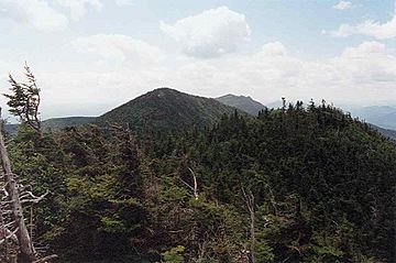Hough Peak and Macomb Mt from ridge to Dix.jpg