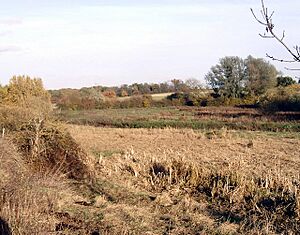 Ingrebourne Valley south of Hornchurch - geograph.org.uk - 1037676